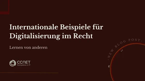 Internationale Beispiele für Digitalisierung im Recht: Lernen von anderen