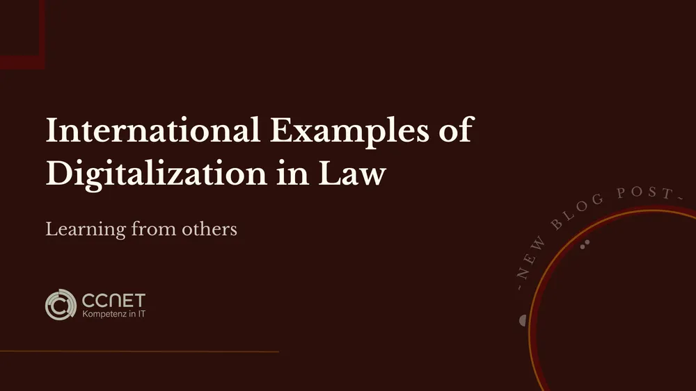 International Examples of Digitalization in Law: Learning from Others